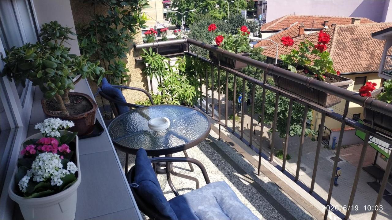 Apartman Rada Pirot Bagian luar foto